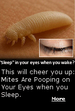 Demodex, also known as eye mites, are tiny arachnids living on the base of your eyelashes, quietly feasting on your eyelid oils while you sleep. These nearly invisible critters are shaped like little eight-legged tubes with mouths designed for eating sebum, the crusty oil produced by your eyelids, and they�re way more active at night, which means that the irritating morning itch might not be allergies after all.